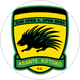 Asante Kotoko
