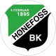 Hønefoss