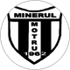 Minerul Motru