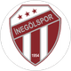 İnegölspor