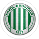 Sokol Hostouň