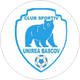 Unirea Bascov